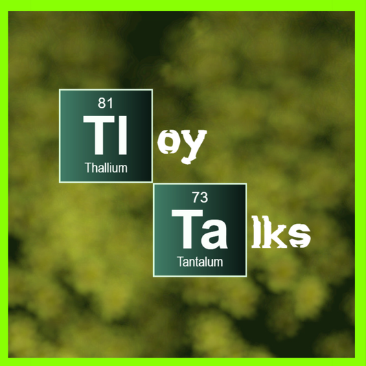 Podcast/Interview with TLOY TALKS at the Studio